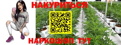 амф Бийск