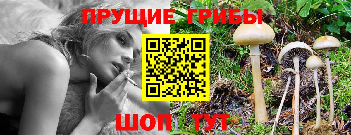 Псилоцибиновые грибы MAGIC MUSHROOMS Кимовск