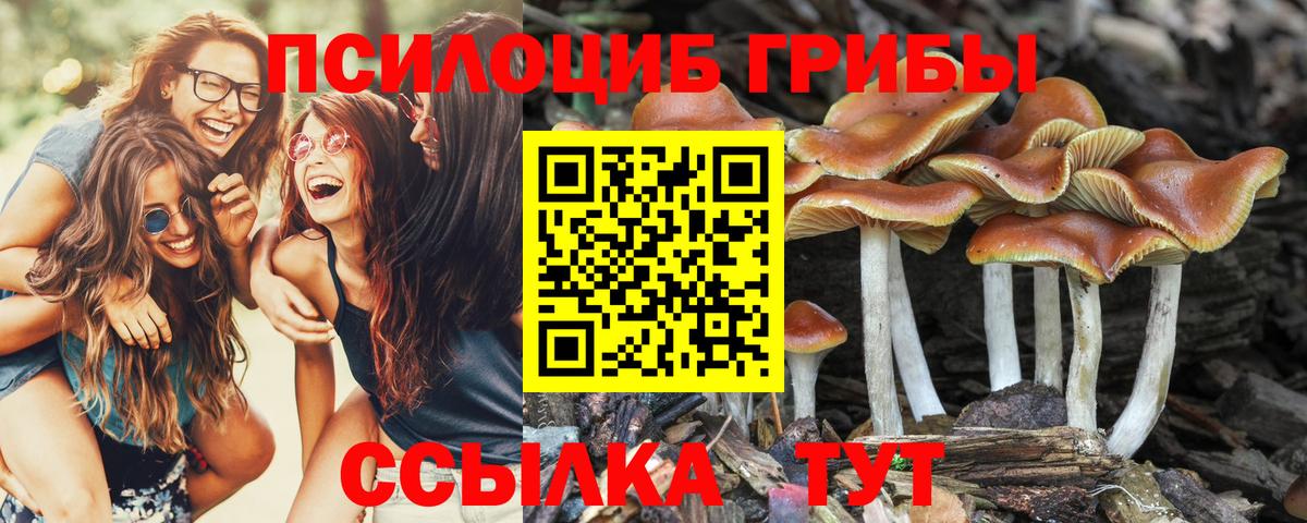 Псилоцибиновые грибы Psilocybine cubensis  Псилоцибиновые грибы Psilocybe  Вход с VPN  Кимовск 